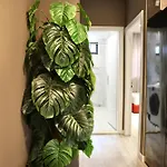 Aparthotel Meli Deluxe 3*